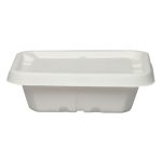 Eco Friendly Biodegradable Compostable Ecoware 750 ML Food Box with Lid – Size 7 inch x 6 inch x 2 inch (made from Sugarcane Bagasse) - Image 7