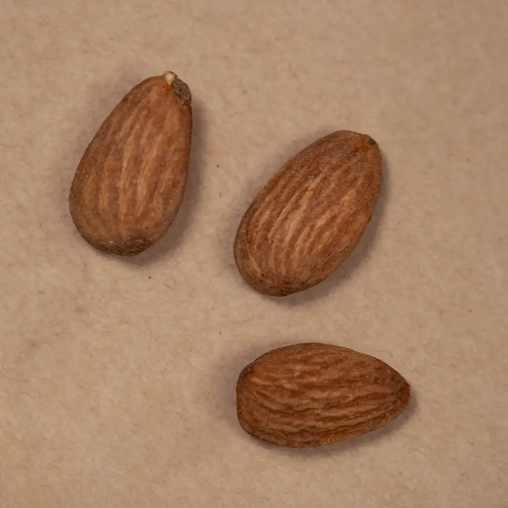 roasted-salted-almonds-180g Roasted & Salted Almonds (180G) - Image 1